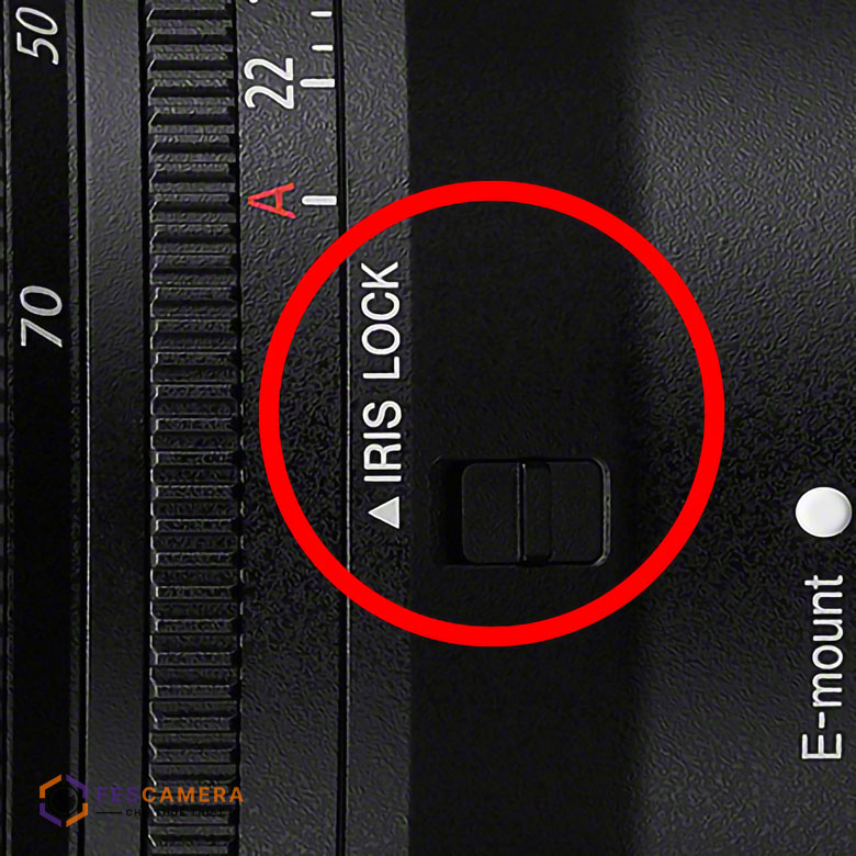 Thuê Lens Sony FE 20-70mm F4 G - Ảnh 9
